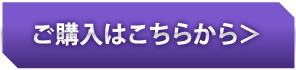 ノーゲーム・ノーライフ ゼロ公式SPECIAL GUIDEBOOKのご購入はこちら